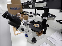 2024 olympus ckx53sf celcultuurmicroscoop - afbeelding 2 van  7