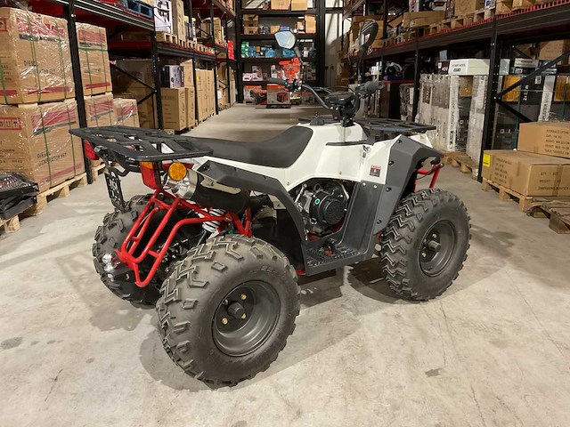 2024 ultra motocross commander 200 quad met kenteken wit - afbeelding 7 van  7