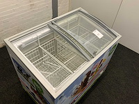2024 vrieskist - afbeelding 8 van  9