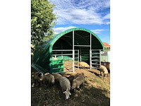 2025 - easy-going - (4x4x3,15 meter) - dierenverblijf / shelter 4 meter - afbeelding 6 van  13