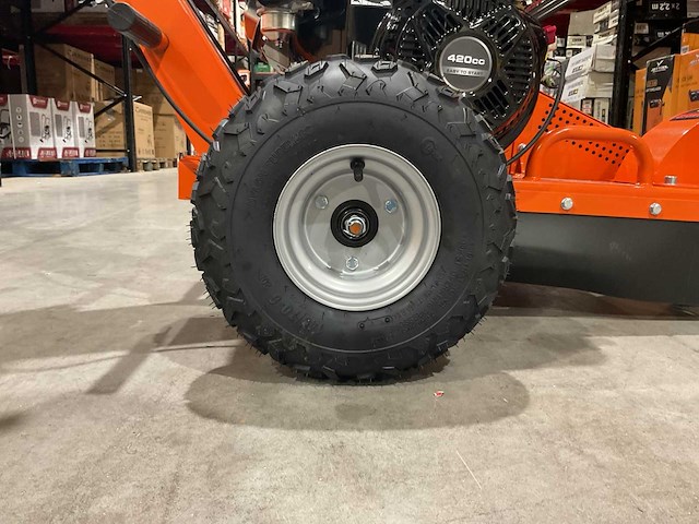 2025 - rte - 6777 stronkenfrees - stobbenfrees - afbeelding 12 van  20