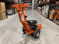 2025 - rte - 6777 stronkenfrees - stobbenfrees - afbeelding 15 van  20