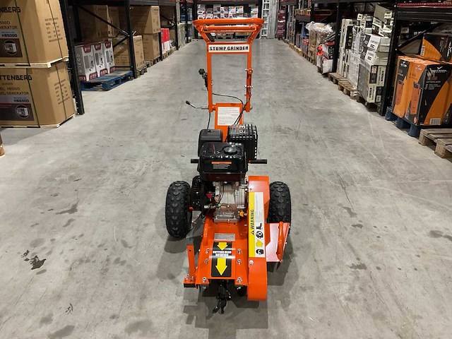 2025 - rte - 6777 stronkenfrees - stobbenfrees - afbeelding 3 van  20