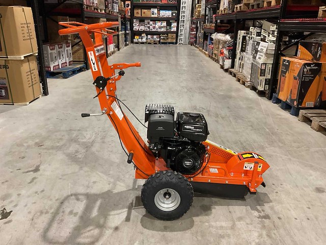 2025 - rte - 6777 stronkenfrees - stobbenfrees - afbeelding 3 van  20