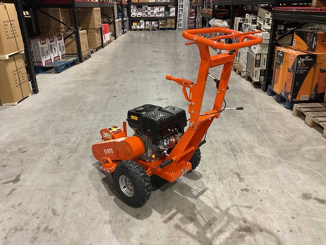 2025 - rte - 6777 stronkenfrees - stobbenfrees - afbeelding 9 van  20