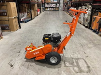 2025 - rte - 6777 stronkenfrees - stobbenfrees - afbeelding 1 van  20