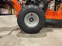 2025 - rte - 6777 stronkenfrees - stobbenfrees - afbeelding 4 van  17