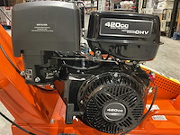 2025 - rte - 6777 stronkenfrees - stobbenfrees - afbeelding 5 van  17