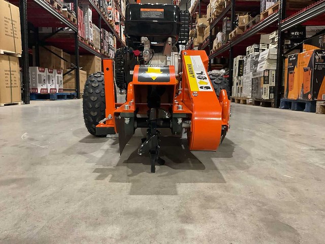 2025 - rte - 6777 stronkenfrees - stobbenfrees - afbeelding 14 van  17