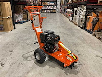 2025 - rte - 6777 stronkenfrees - stobbenfrees - afbeelding 1 van  11