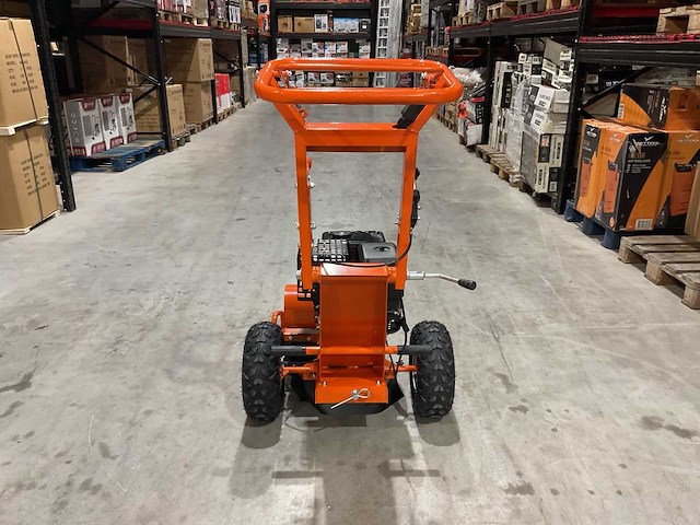 2025 - rte - 6777 stronkenfrees - stobbenfrees - afbeelding 8 van  20