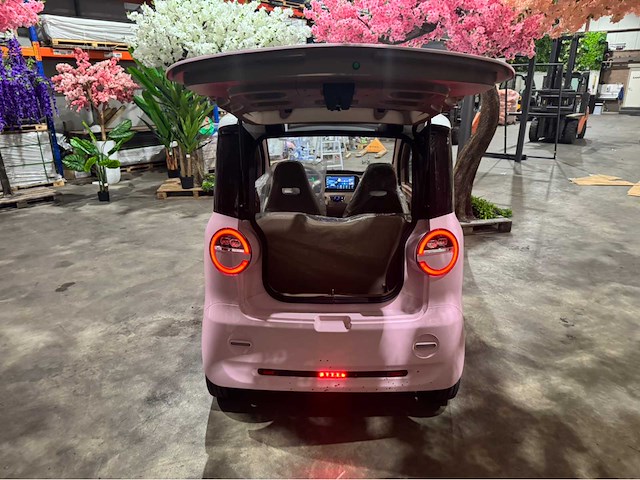 2025 dongwei dora brommobiel elektrisch (45 km/h) - afbeelding 10 van  44