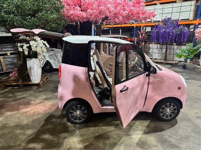 2025 dongwei dora brommobiel elektrisch (45 km/h) - afbeelding 17 van  44