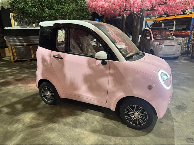 2025 dongwei dora brommobiel elektrisch (45 km/h) - afbeelding 23 van  44