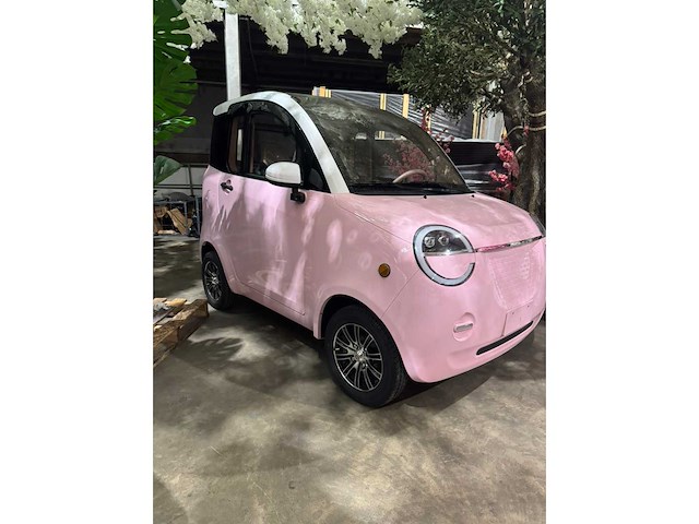 2025 dongwei dora brommobiel elektrisch (45 km/h) - afbeelding 39 van  44