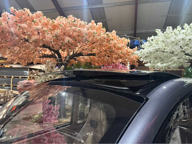 2025 dongwei dora brommobiel elektrisch (45 km/h) - afbeelding 6 van  43