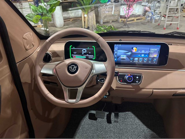 2025 dongwei dora brommobiel elektrisch (45 km/h) - afbeelding 25 van  43