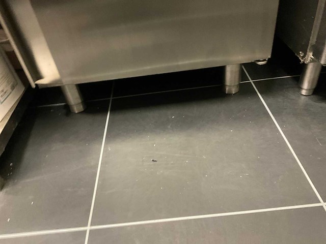 2025 hoshizaki advance 70-3 l-dr diepvries - afbeelding 5 van  10