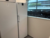 2025 liebherr srfvg 4001 laboratoriumkoelkast - afbeelding 1 van  1