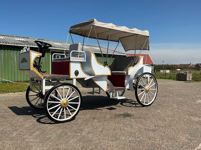 2025 mce electric electrische koets - afbeelding 1 van  15
