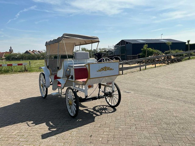 2025 mce electric electrische koets - afbeelding 9 van  15