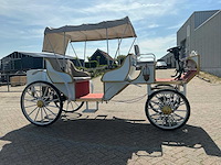 2025 mce electric electrische koets - afbeelding 10 van  15