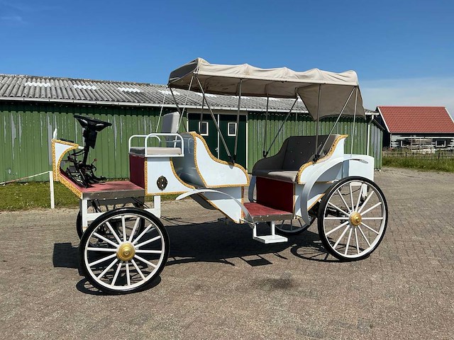 2025 mce electric electrische koets - afbeelding 11 van  15