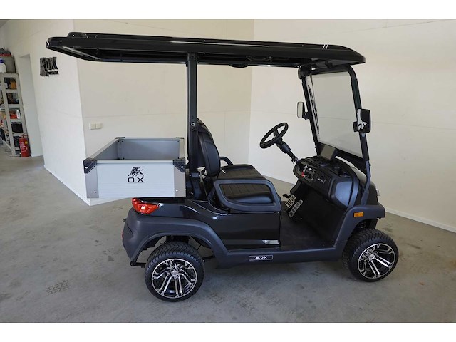 2025 ox zg2l golfkar - afbeelding 3 van  8