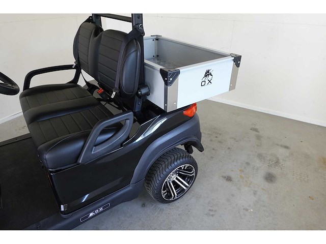 2025 ox zg2l golfkar - afbeelding 8 van  8