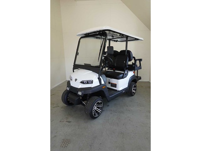 2025 ox zg4 golfkar - afbeelding 3 van  8