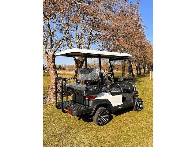 2025 ox zg4 golfkar - afbeelding 5 van  8