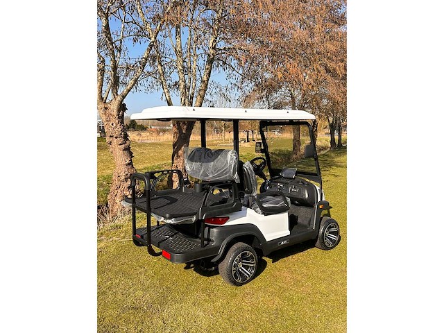 2025 ox zg4 golfkar - afbeelding 6 van  8