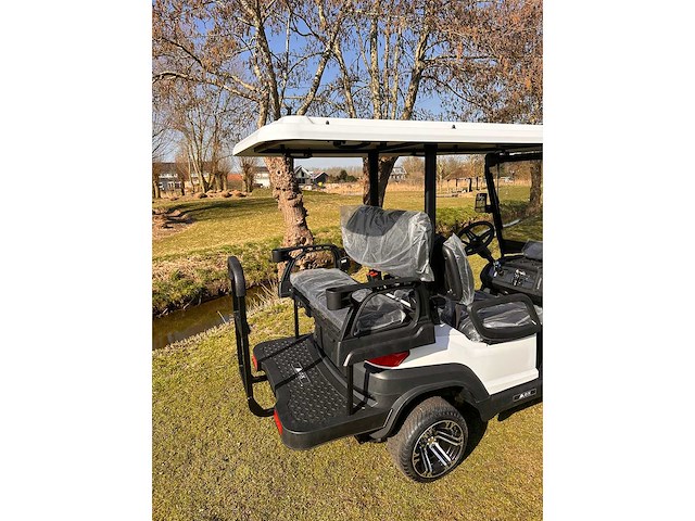 2025 ox zg4 golfkar - afbeelding 7 van  8