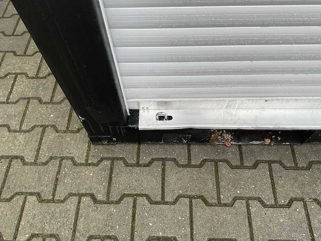 2025 rhino-cross-containers 12ft zeecontainer met roldeur - afbeelding 3 van  12