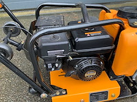 2025 trilplaat - afbeelding 3 van  3