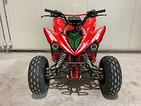 2025 ultra motocross atx 125 raptor quad rood - afbeelding 9 van  13