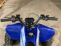 2025 ultra motocross miniraptor125 atx 125 raptor bl quad - afbeelding 11 van  13