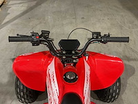 2025 ultra motocross miniraptor125 atx 125 raptor rd quad - afbeelding 11 van  13