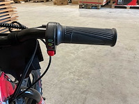 2025 ultra motocross trx250 rd elektrische loopfiets - afbeelding 10 van  10
