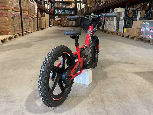 2025 ultra motocross trx250 rd elektrische loopfiets - afbeelding 10 van  10