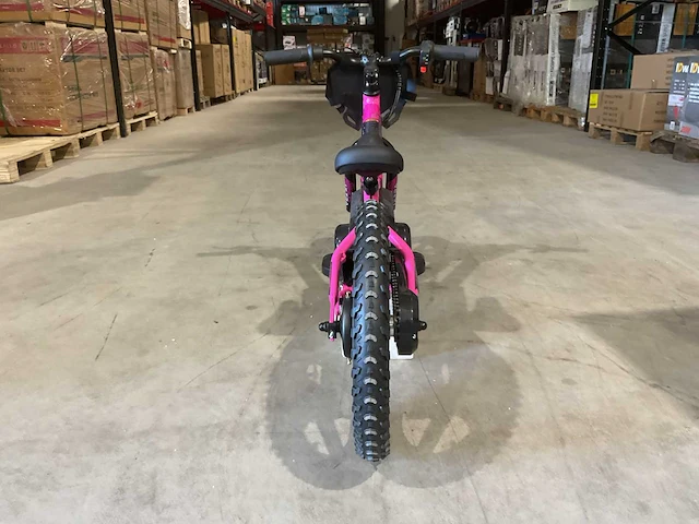 2025 ultra motocross trx250 rz elektrische loopfiets - afbeelding 7 van  10