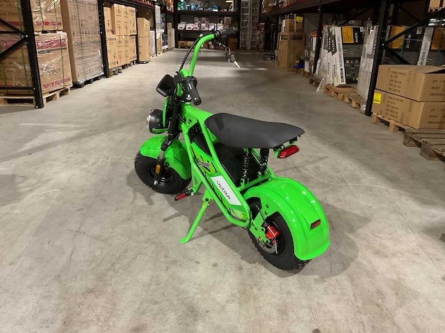 2025 ultra motocross viper mul tx 50 gr mini chopper - afbeelding 3 van  3