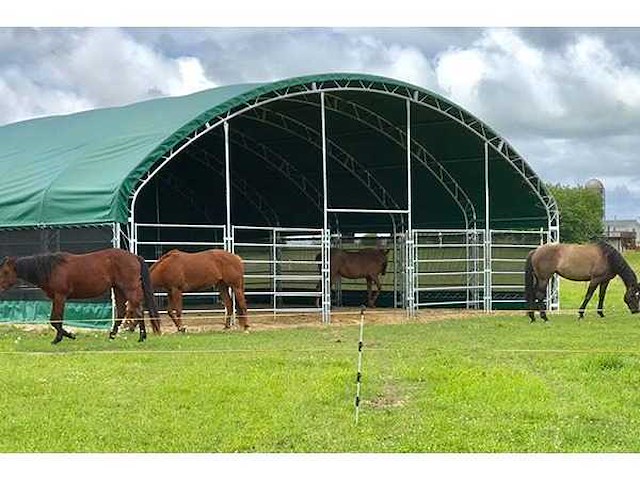 2026 - easy-going - (12x12x5 meter) - dierenverblijf / shelter 12 meter - afbeelding 1 van  12
