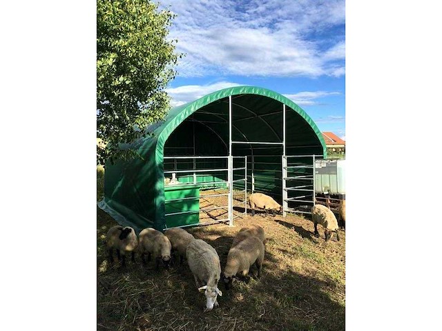 2026 - easy-going - 2026 - (4x4x3,15 meter) - dierenverblijf / shelter 4 meter - afbeelding 6 van  13