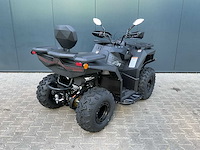 2026 apollo cyberroamer cr250 quad / atv voorzien van coc certificaat voor kenteken - afbeelding 38 van  39