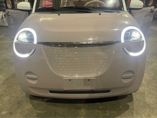 2026 brommobiel elektrisch (45 km/h) - afbeelding 31 van  37