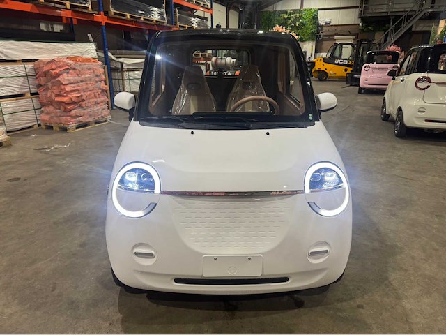 2026 brommobiel elektrisch (45 km/h) - afbeelding 8 van  29