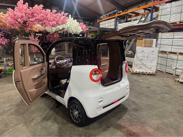 2026 brommobiel elektrisch (45 km/h) - afbeelding 13 van  29