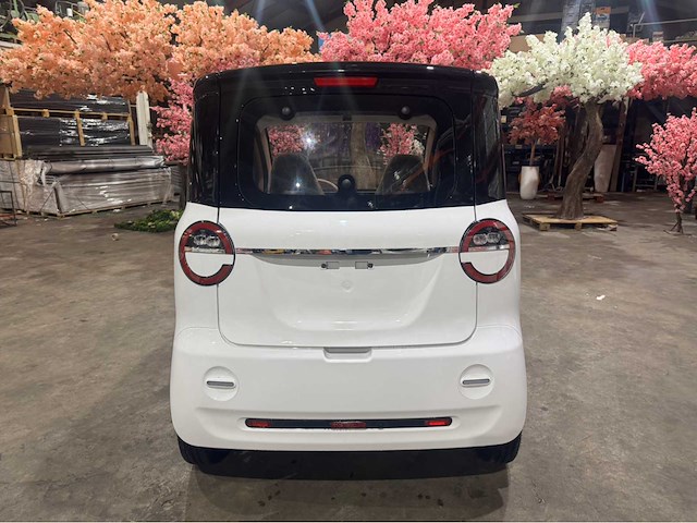 2026 brommobiel elektrisch (45 km/h) - afbeelding 29 van  29