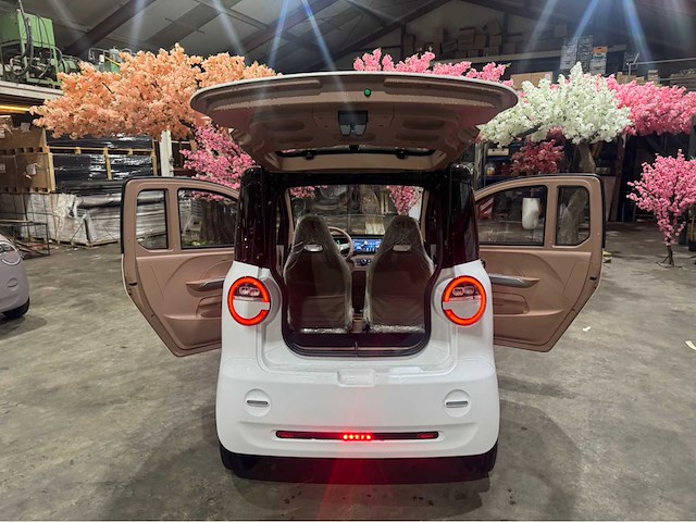 2026 brommobiel elektrisch (45 km/h) - afbeelding 11 van  29